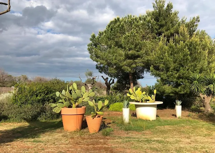 Villa Architect Design Luxury Pool And Sea View Marina Di Pescoluse