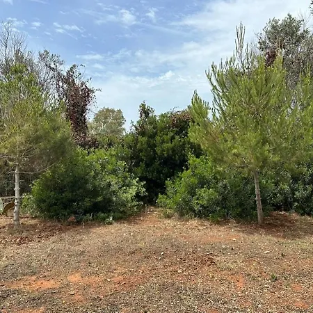 Villa Architect Design Luxury Pool And Sea View Marina Di Pescoluse